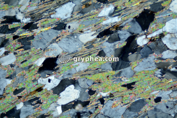 Micaschiste à sillimanite LPA x25 - gryphea.org